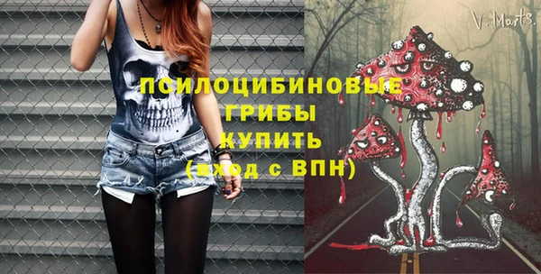 молекула духа Сатка