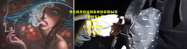 эйфоретик Богданович