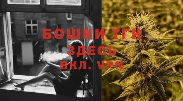 эйфоретик Богданович