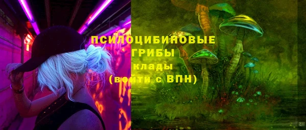 эйфоретик Богданович