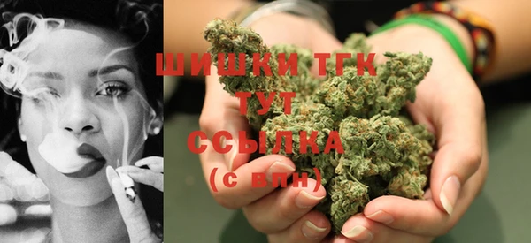 эйфоретик Богданович